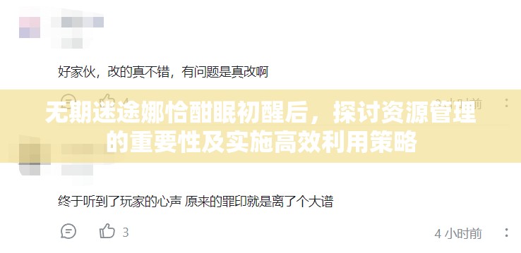 无期迷途娜恰酣眠初醒后，探讨资源管理的重要性及实施高效利用策略