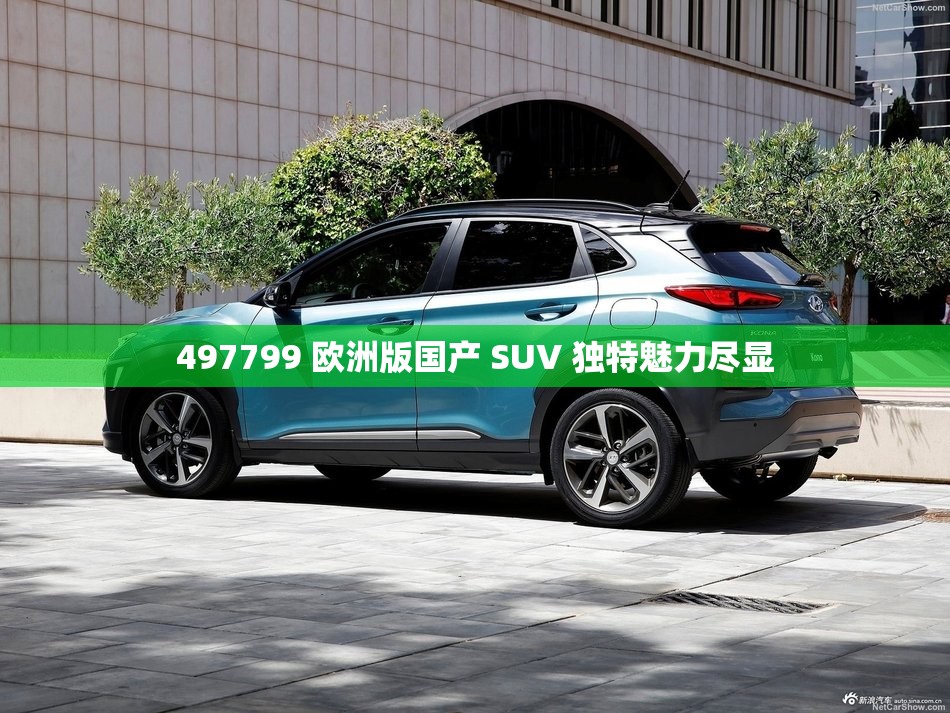 497799 欧洲版国产 SUV 独特魅力尽显