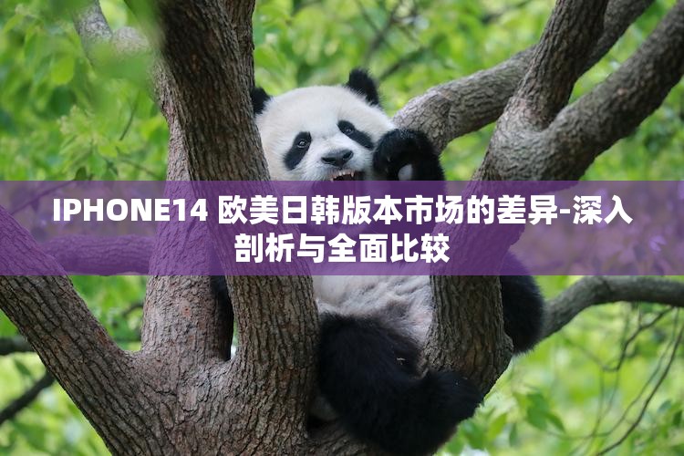 IPHONE14 欧美日韩版本市场的差异-深入剖析与全面比较