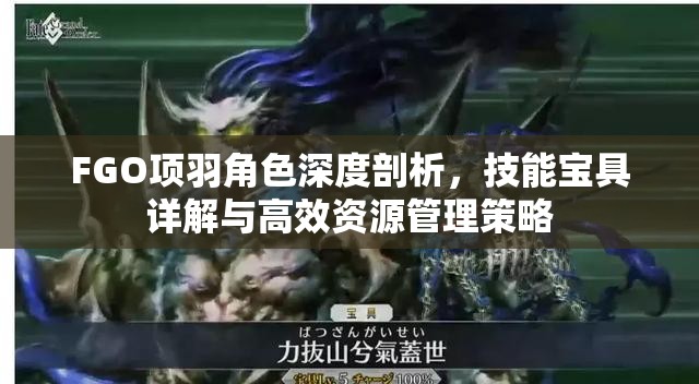FGO项羽角色深度剖析，技能宝具详解与高效资源管理策略
