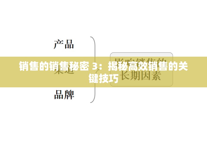 销售的销售秘密 3：揭秘高效销售的关键技巧