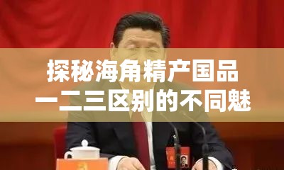 探秘海角精产国品一二三区别的不同魅力全析