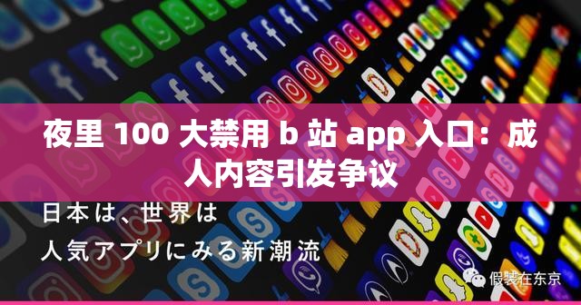 夜里 100 大禁用 b 站 app 入口：成人内容引发争议