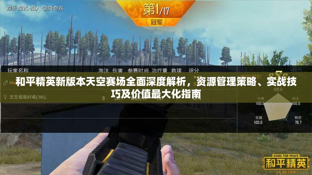和平精英新版本天空赛场全面深度解析，资源管理策略、实战技巧及价值最大化指南