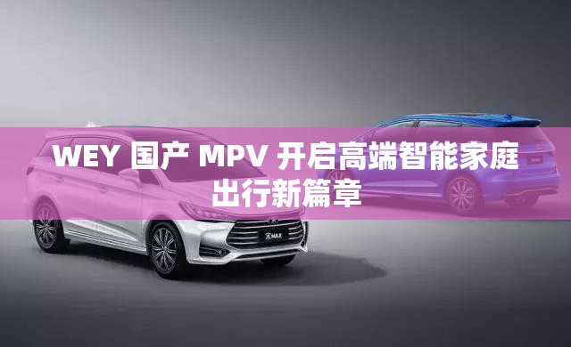 WEY 国产 MPV 开启高端智能家庭出行新篇章