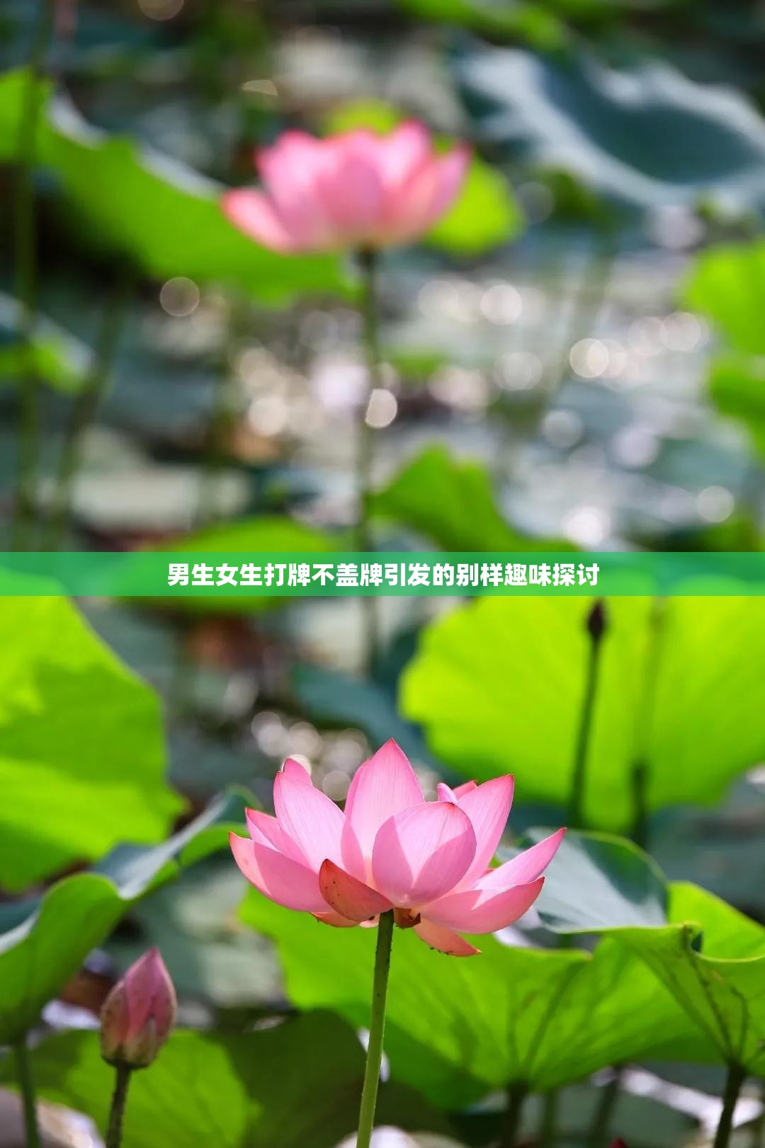 男生女生打牌不盖牌引发的别样趣味探讨