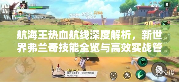 航海王热血航线深度解析，新世界弗兰奇技能全览与高效实战管理策略