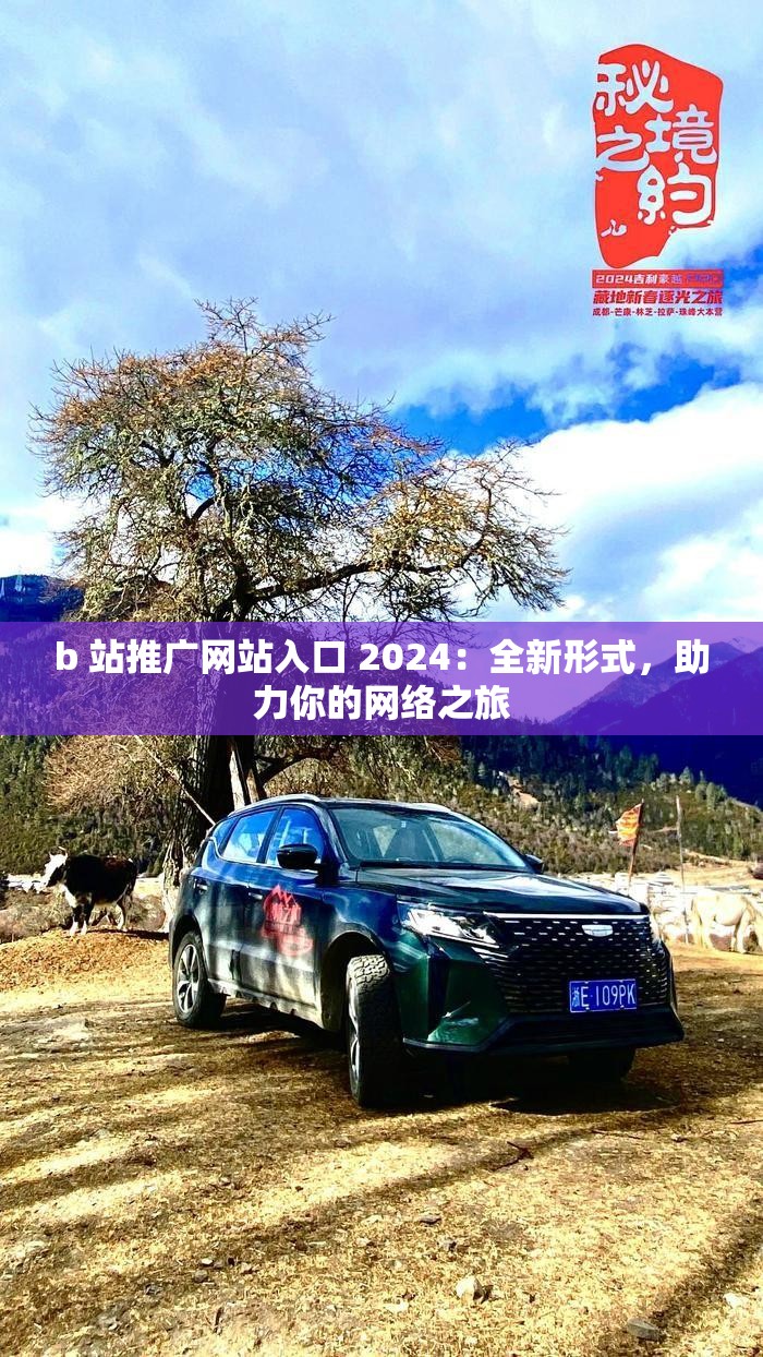 b 站推广网站入口 2024：全新形式，助力你的网络之旅