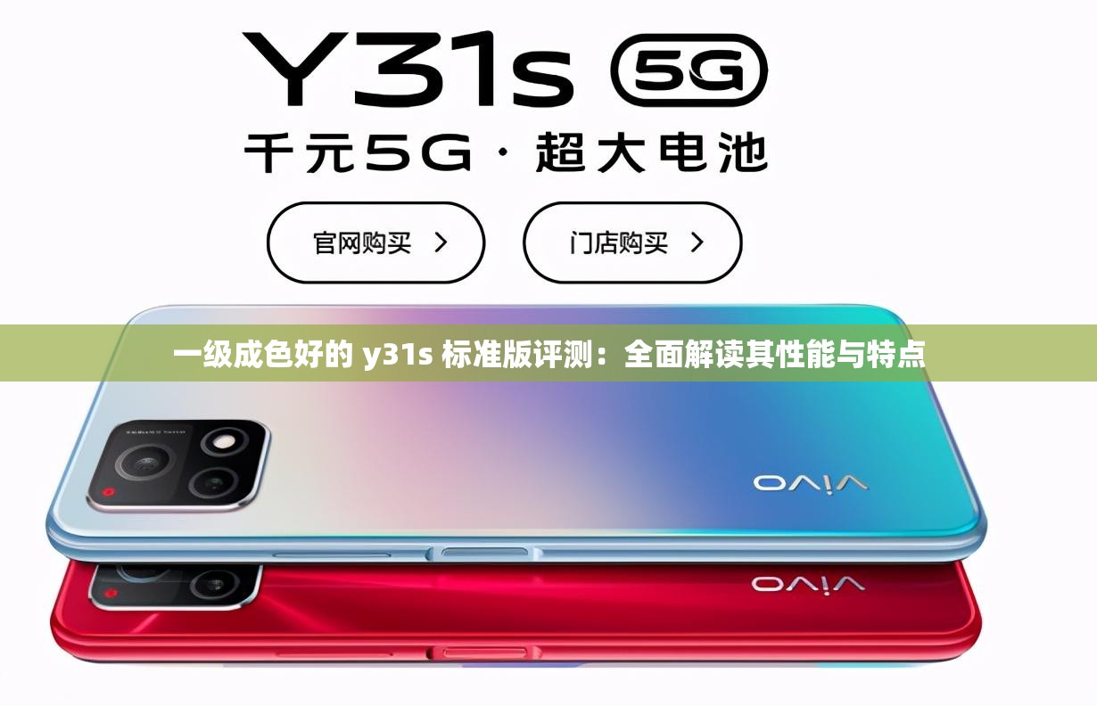 一级成色好的 y31s 标准版评测：全面解读其性能与特点