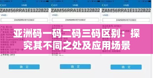 亚洲码一码二码三码区别：探究其不同之处及应用场景