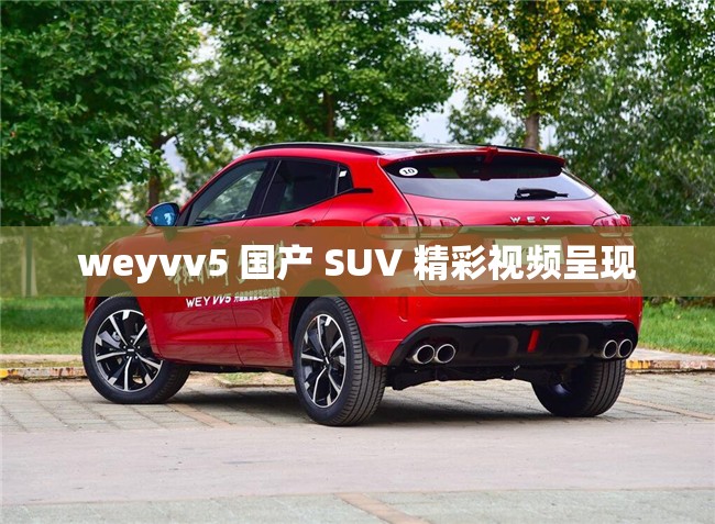weyvv5 国产 SUV 精彩视频呈现