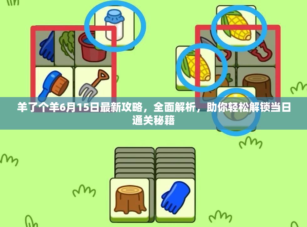 羊了个羊6月15日最新攻略，全面解析，助你轻松解锁当日通关秘籍