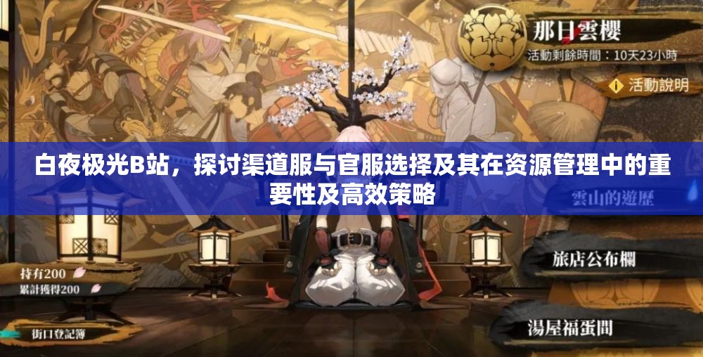 白夜极光B站，探讨渠道服与官服选择及其在资源管理中的重要性及高效策略