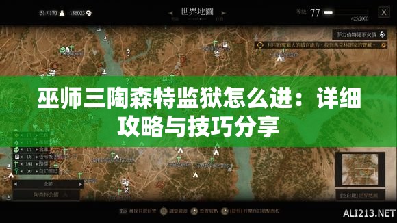 巫师三陶森特监狱怎么进：详细攻略与技巧分享