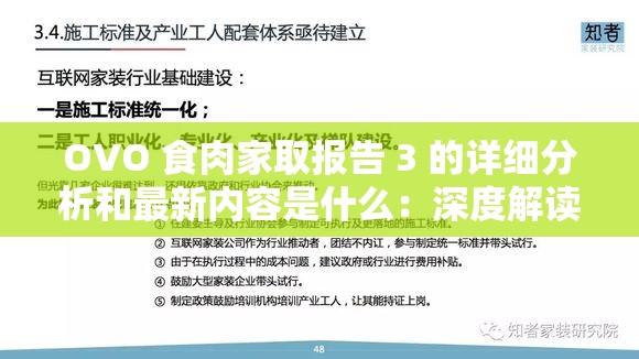 OVO 食肉家取报告 3 的详细分析和最新内容是什么：深度解读与全面剖析