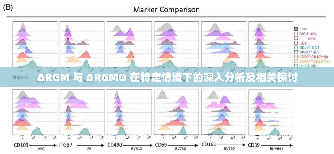 ΔRGM 与 ΔRGMΘ 在特定情境下的深入分析及相关探讨