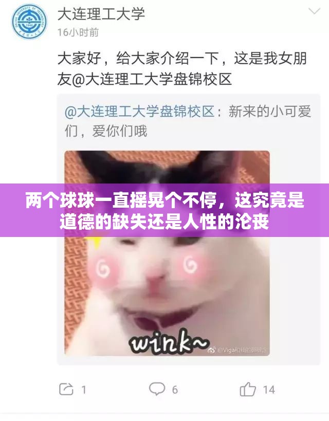 两个球球一直摇晃个不停，这究竟是道德的缺失还是人性的沦丧