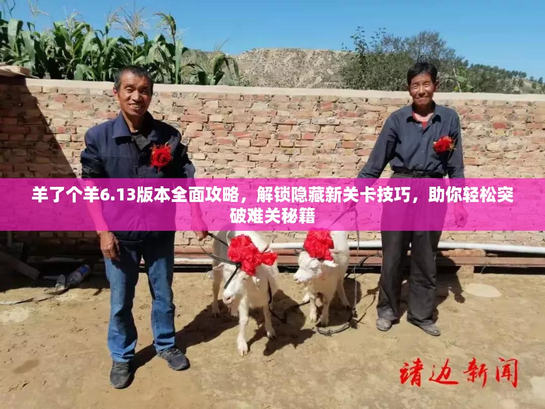 羊了个羊6.13版本全面攻略，解锁隐藏新关卡技巧，助你轻松突破难关秘籍