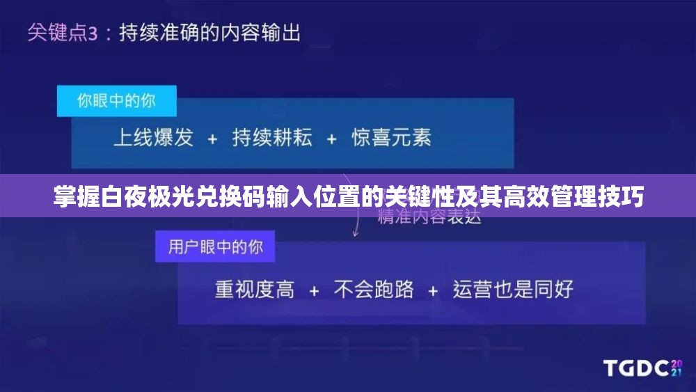 掌握白夜极光兑换码输入位置的关键性及其高效管理技巧