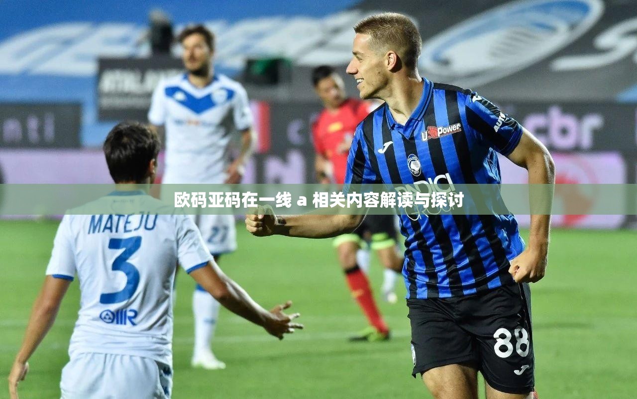 欧码亚码在一线 a 相关内容解读与探讨