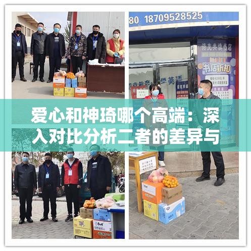 爱心和神琦哪个高端：深入对比分析二者的差异与优势