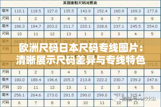 欧洲尺码日本尺码专线图片：清晰展示尺码差异与专线特色