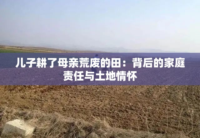 儿子耕了母亲荒废的田：背后的家庭责任与土地情怀