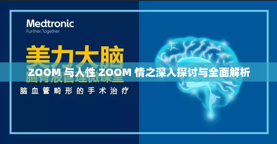 ZOOM 与人性 ZOOM 情之深入探讨与全面解析