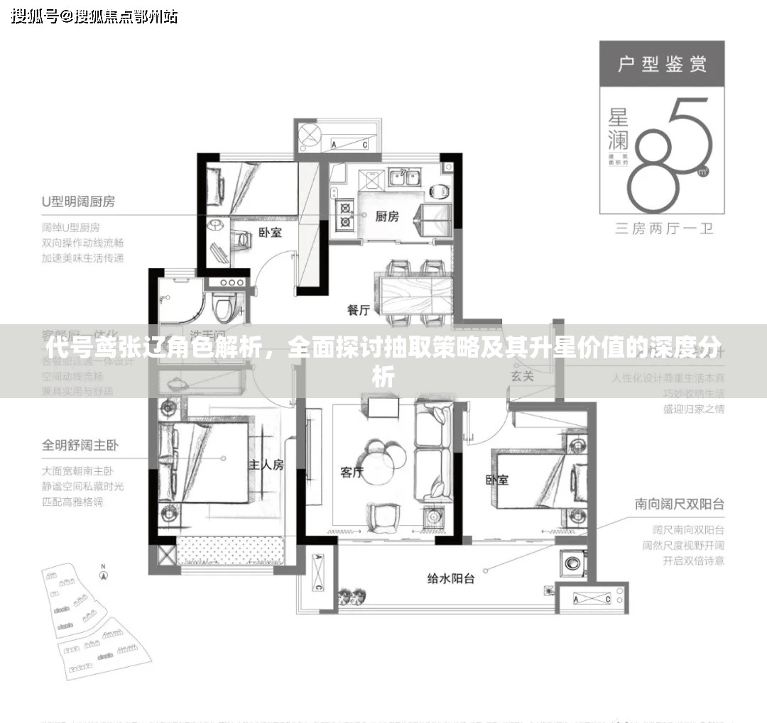 代号鸢张辽角色解析，全面探讨抽取策略及其升星价值的深度分析