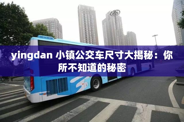 yingdan 小镇公交车尺寸大揭秘：你所不知道的秘密