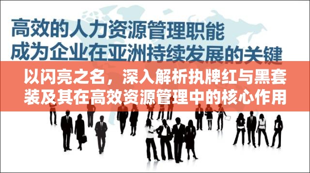 以闪亮之名，深入解析执牌红与黑套装及其在高效资源管理中的核心作用