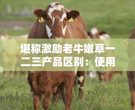 堪称激励老牛嫩草一二三产品区别：使用方法、效果大揭秘