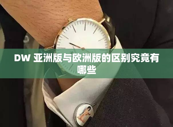 DW 亚洲版与欧洲版的区别究竟有哪些
