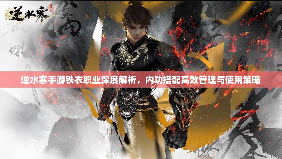 逆水寒手游铁衣职业深度解析，内功搭配高效管理与使用策略
