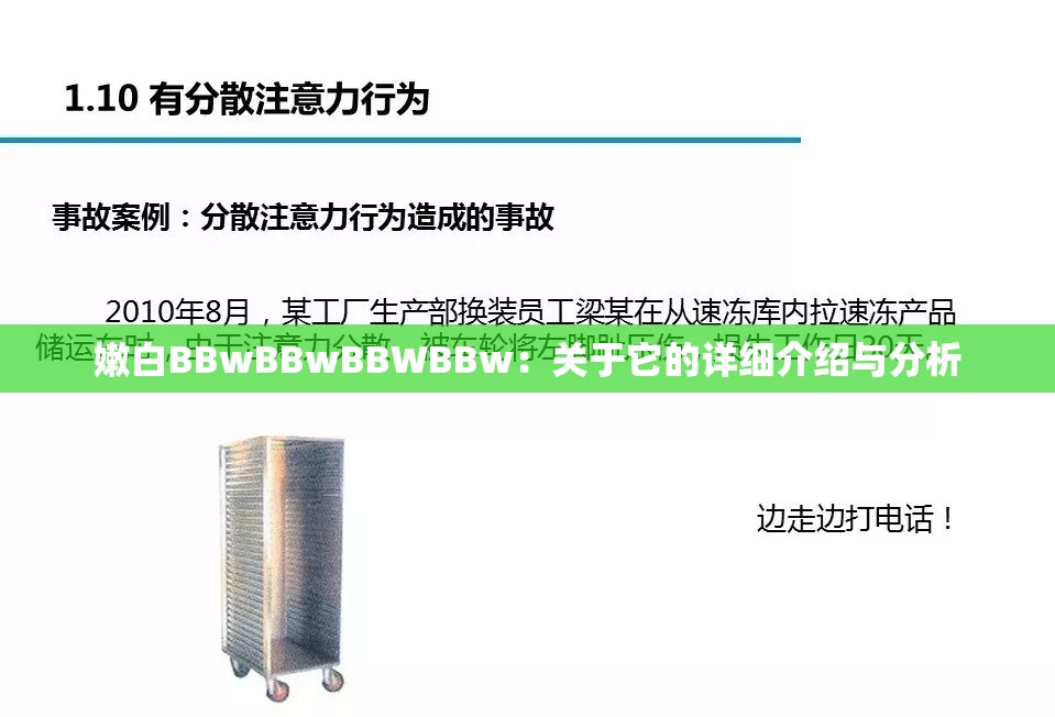 嫩白BBwBBwBBWBBw：关于它的详细介绍与分析