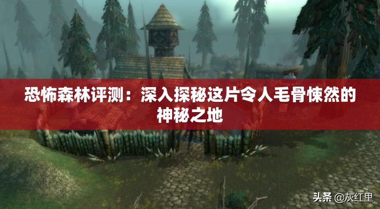 恐怖森林评测：深入探秘这片令人毛骨悚然的神秘之地