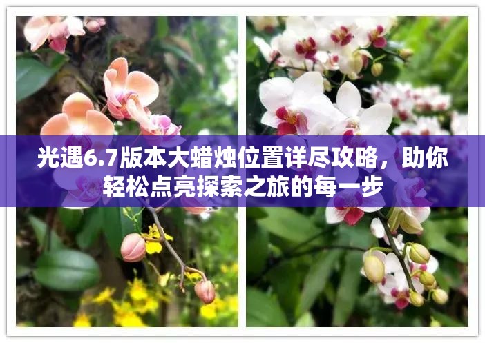 光遇6.7版本大蜡烛位置详尽攻略，助你轻松点亮探索之旅的每一步