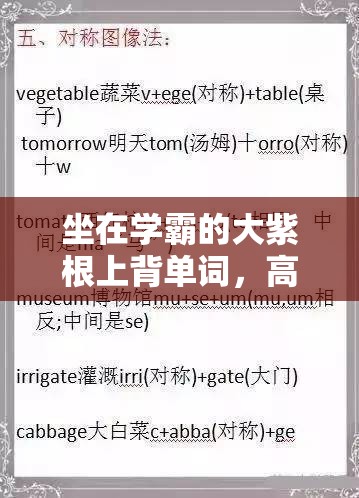 坐在学霸的大紫根上背单词，高效记忆新体验