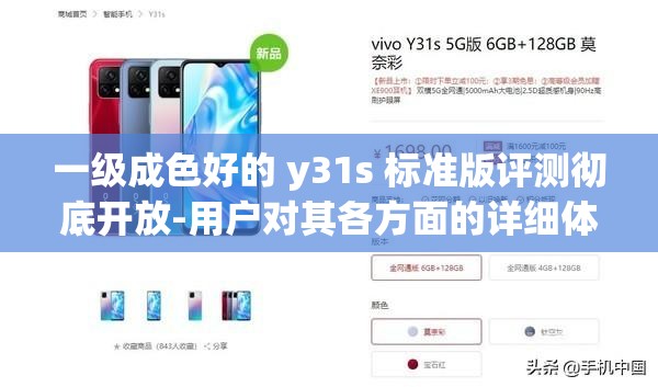 一级成色好的 y31s 标准版评测彻底开放-用户对其各方面的详细体验与感受