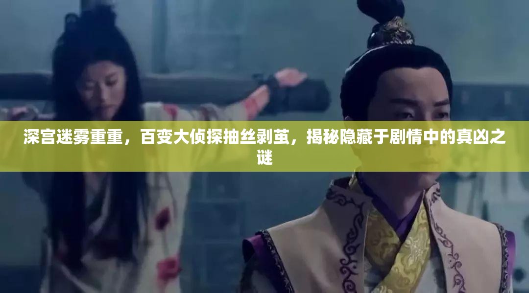 深宫迷雾重重，百变大侦探抽丝剥茧，揭秘隐藏于剧情中的真凶之谜