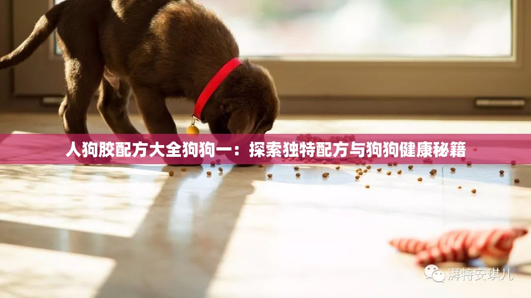 人狗胶配方大全狗狗一：探索独特配方与狗狗健康秘籍