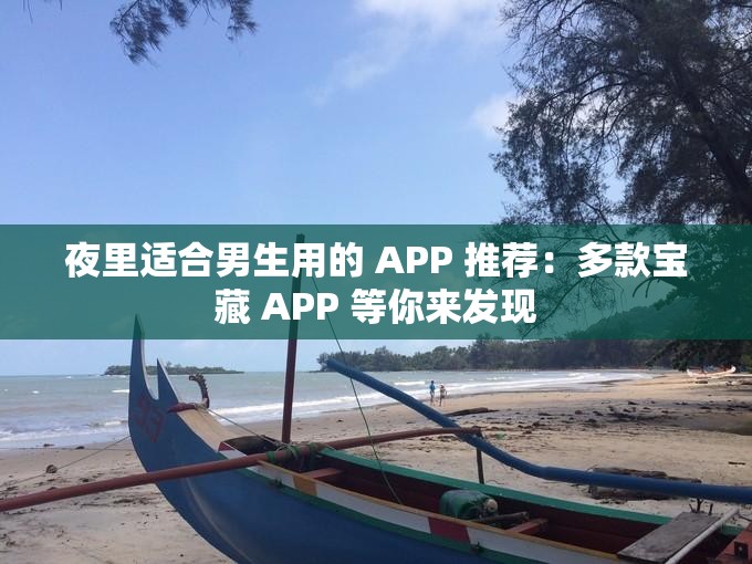 夜里适合男生用的 APP 推荐：多款宝藏 APP 等你来发现