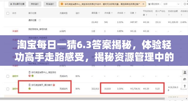 淘宝每日一猜6.3答案揭秘，体验轻功高手走路感受，揭秘资源管理中的高效奥秘与实用技巧
