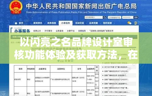 以闪亮之名品牌设计室审核功能体验及获取方法，在游戏资源高效管理中的核心作用与实践探索
