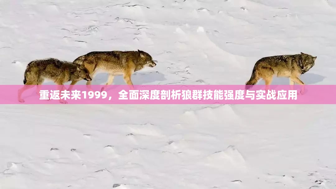 重返未来1999，全面深度剖析狼群技能强度与实战应用