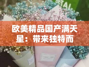 欧美精品国产满天星：带来独特而迷人的视觉体验