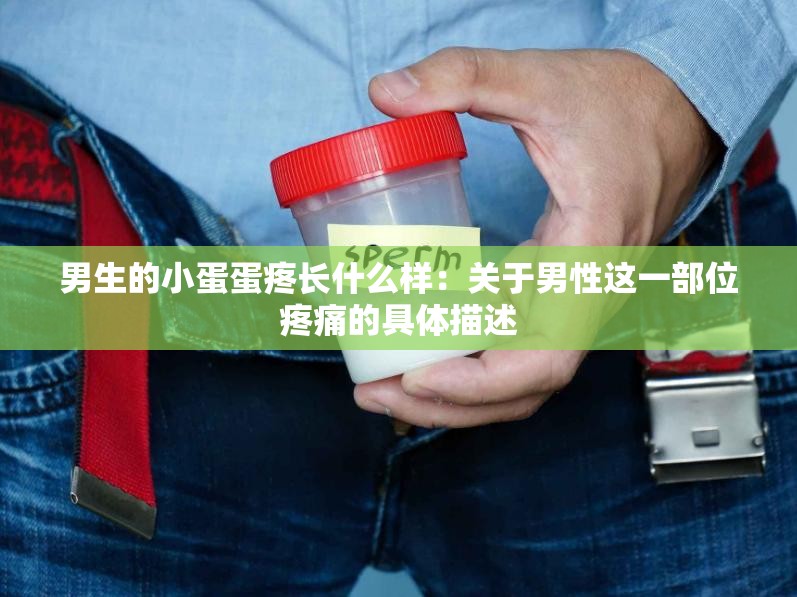 男生的小蛋蛋疼长什么样：关于男性这一部位疼痛的具体描述