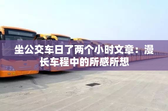 坐公交车日了两个小时文章：漫长车程中的所感所想