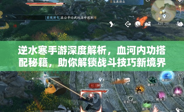 逆水寒手游深度解析，血河内功搭配秘籍，助你解锁战斗技巧新境界
