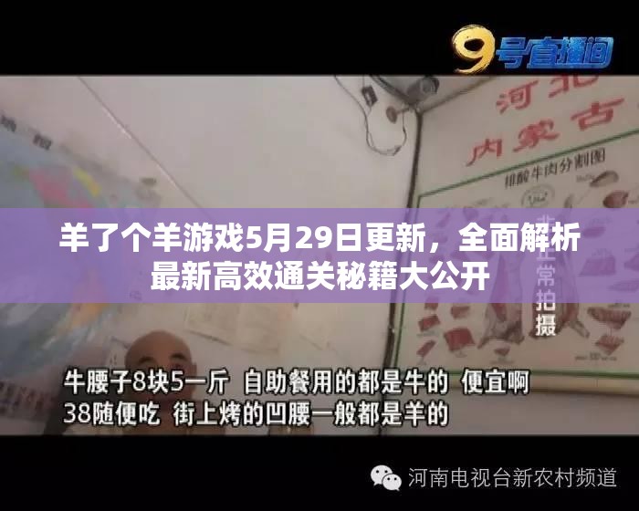 羊了个羊游戏5月29日更新，全面解析最新高效通关秘籍大公开